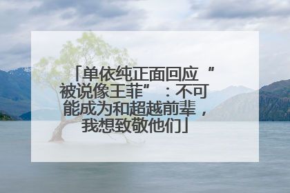 单依纯正面回应“被说像王菲”：不可能成为和超越前辈，我想致敬他们