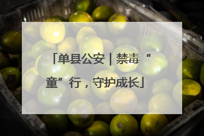 单县公安｜禁毒“童”行，守护成长