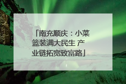 南充顺庆：小菜篮装满大民生 产业链拓宽致富路