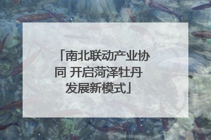 南北联动产业协同 开启菏泽牡丹发展新模式