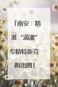 南安：精准“滴灌”专精特新竞跑出圈