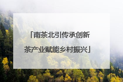 南茶北引传承创新 茶产业赋能乡村振兴