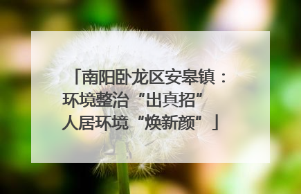 南阳卧龙区安皋镇：环境整治“出真招” 人居环境“焕新颜”