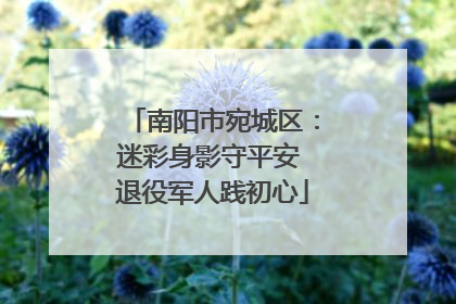 南阳市宛城区：迷彩身影守平安 退役军人践初心