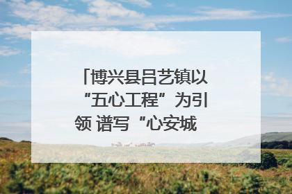 博兴县吕艺镇以“五心工程”为引领 谱写“心安城市”建设新篇章