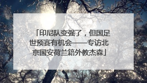 印尼队变强了，但国足世预赛有机会——专访北京国安荷兰籍外教杰森