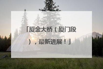厦金大桥（厦门段），最新进展！