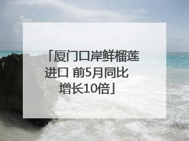 厦门口岸鲜榴莲进口 前5月同比增长10倍