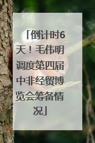 倒计时6天！毛伟明调度第四届中非经贸博览会筹备情况