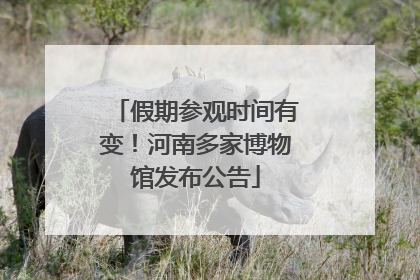 假期参观时间有变！河南多家博物馆发布公告
