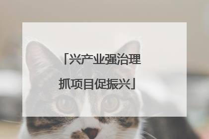 兴产业强治理 抓项目促振兴