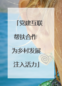 党建互联帮扶合作 为乡村发展注入活力