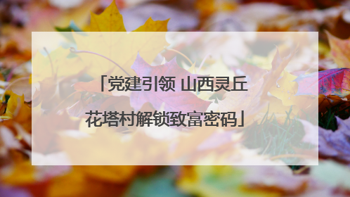 党建引领 山西灵丘花塔村解锁致富密码