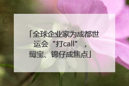 全球企业家为成都世运会“打call”，蜀宝、锦仔成焦点