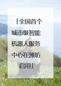 全国首个城市级智能机器人服务中心在潍坊启用