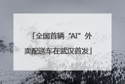 全国首辆“AI”外卖配送车在武汉首发