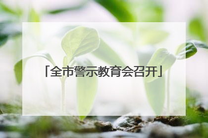 全市警示教育会召开