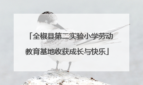 全椒县第二实验小学劳动教育基地收获成长与快乐