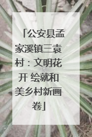 公安县孟家溪镇三袁村：文明花开 绘就和美乡村新画卷
