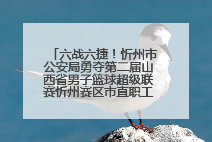 六战六捷！忻州市公安局勇夺第二届山西省男子篮球超级联赛忻州赛区市直职工组比赛冠军