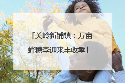 关岭新铺镇：万亩蜂糖李迎来丰收季