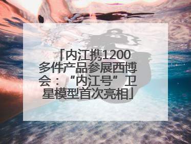 内江携1200多件产品参展西博会：“内江号”卫星模型首次亮相