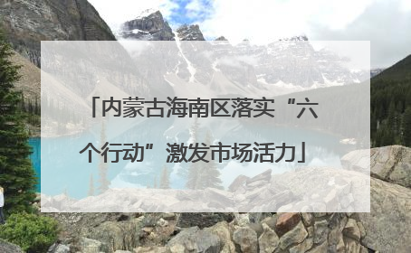 内蒙古海南区落实“六个行动”激发市场活力
