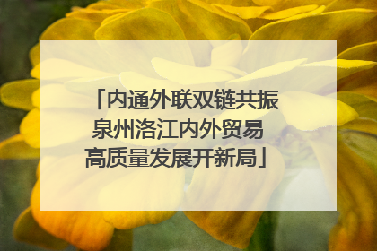 内通外联双链共振 泉州洛江内外贸易高质量发展开新局