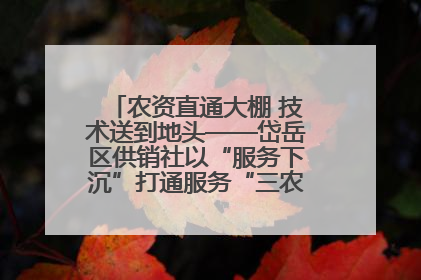 农资直通大棚 技术送到地头——岱岳区供销社以“服务下沉”打通服务“三农”最后一公里
