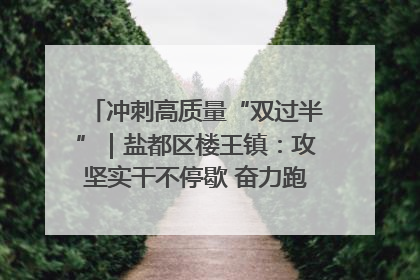 冲刺高质量“双过半”｜盐都区楼王镇：攻坚实干不停歇 奋力跑赢“上半场”