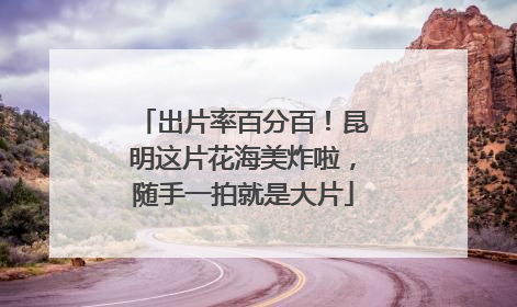 出片率百分百！昆明这片花海美炸啦，随手一拍就是大片