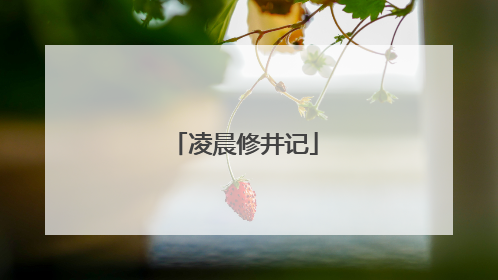 凌晨修井记