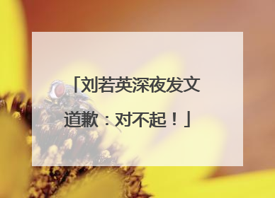 刘若英深夜发文道歉：对不起！