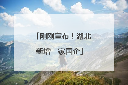刚刚宣布！湖北新增一家国企