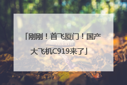 刚刚！首飞厦门！国产大飞机C919来了