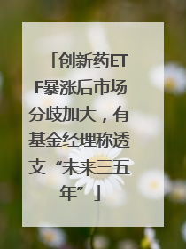 创新药ETF暴涨后市场分歧加大，有基金经理称透支“未来三五年”