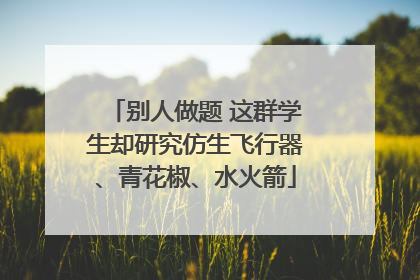 别人做题 这群学生却研究仿生飞行器、青花椒、水火箭