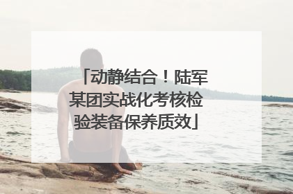 动静结合！陆军某团实战化考核检验装备保养质效