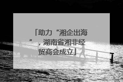助力“湘企出海”，湖南省湘非经贸商会成立