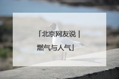 北京网友说｜燃气与人气
