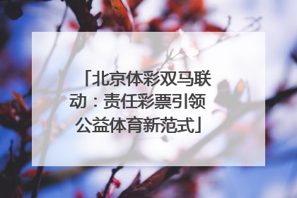 北京体彩双马联动：责任彩票引领公益体育新范式