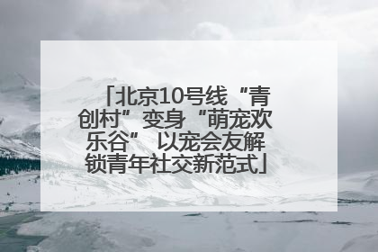 北京10号线“青创村”变身“萌宠欢乐谷” 以宠会友解锁青年社交新范式