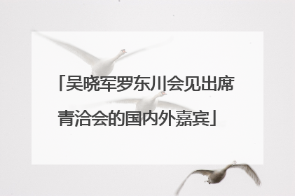 吴晓军罗东川会见出席青洽会的国内外嘉宾