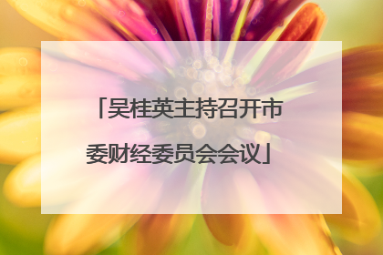 吴桂英主持召开市委财经委员会会议