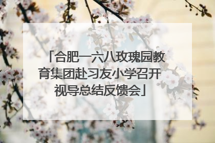 合肥一六八玫瑰园教育集团赴习友小学召开视导总结反馈会