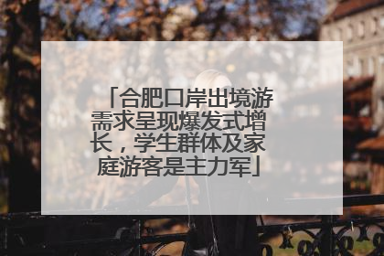 合肥口岸出境游需求呈现爆发式增长，学生群体及家庭游客是主力军