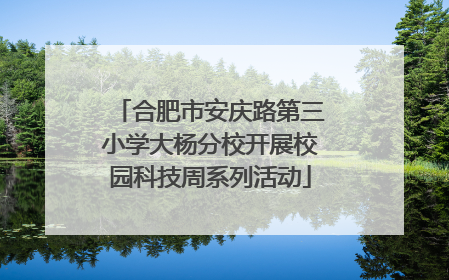 合肥市安庆路第三小学大杨分校开展校园科技周系列活动