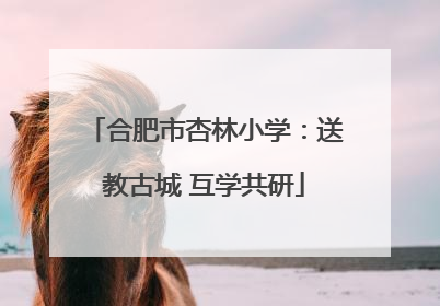 合肥市杏林小学：送教古城 互学共研