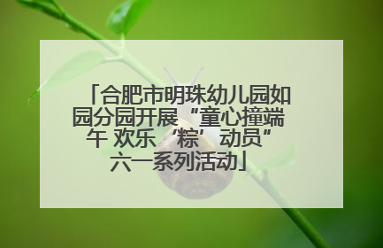 合肥市明珠幼儿园如园分园开展“童心撞端午 欢乐‘粽’动员”六一系列活动