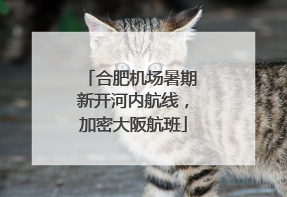 合肥机场暑期新开河内航线，加密大阪航班